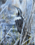 American Bittern, 14x11, $450