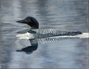 Loon, 11x14, $450