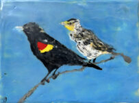 Pairs of Birds: Red-winged Blackbird Pair