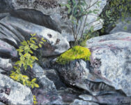 Rockscape, 11x14, $400
