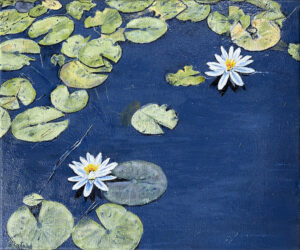 Waterlilies in the Marsh